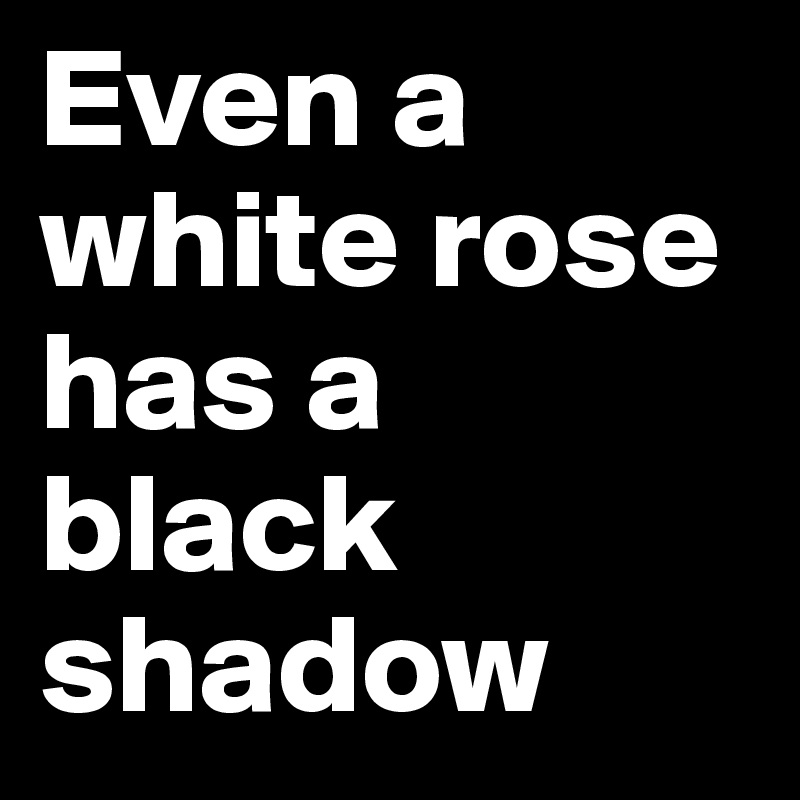 Even a white rose has a black shadow