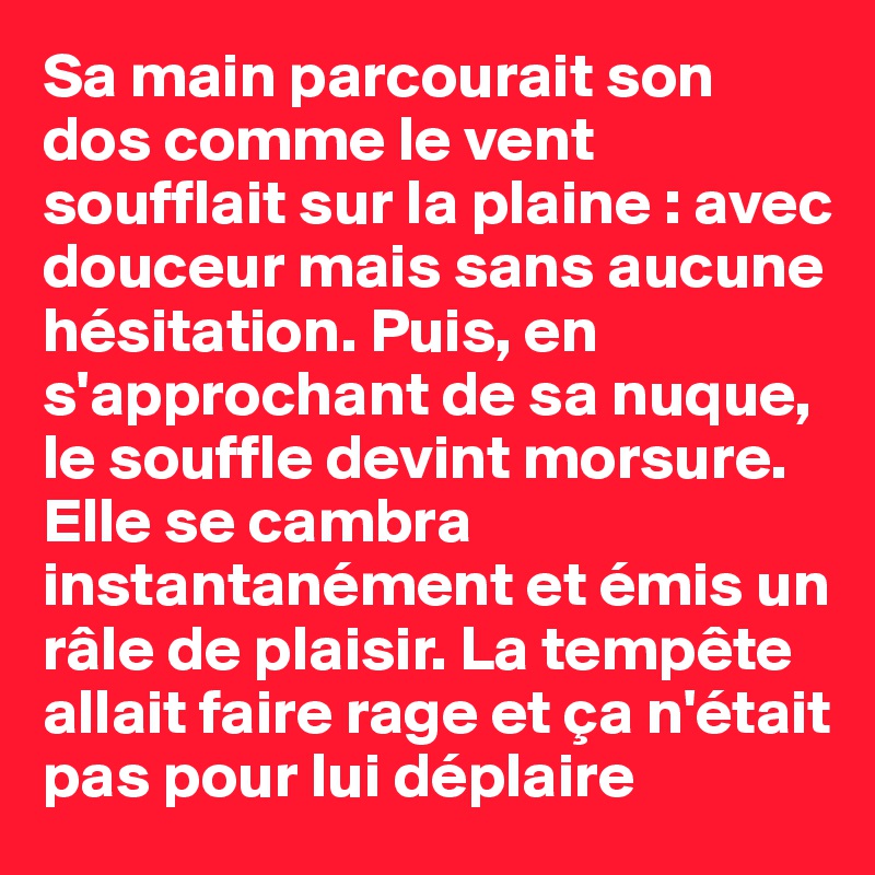 Sa main parcourait son dos comme le vent soufflait sur la plaine : avec douceur mais sans aucune hésitation. Puis, en s'approchant de sa nuque, le souffle devint morsure. Elle se cambra instantanément et émis un râle de plaisir. La tempête allait faire rage et ça n'était pas pour lui déplaire 