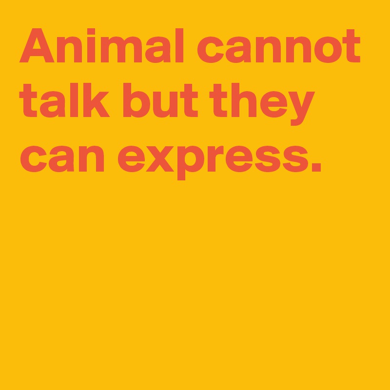Animal cannot talk but they can express.



