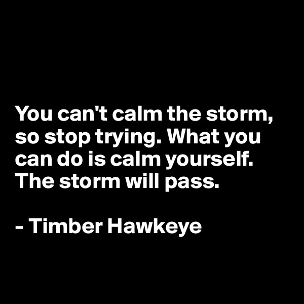 



You can't calm the storm, so stop trying. What you can do is calm yourself. The storm will pass.

- Timber Hawkeye


