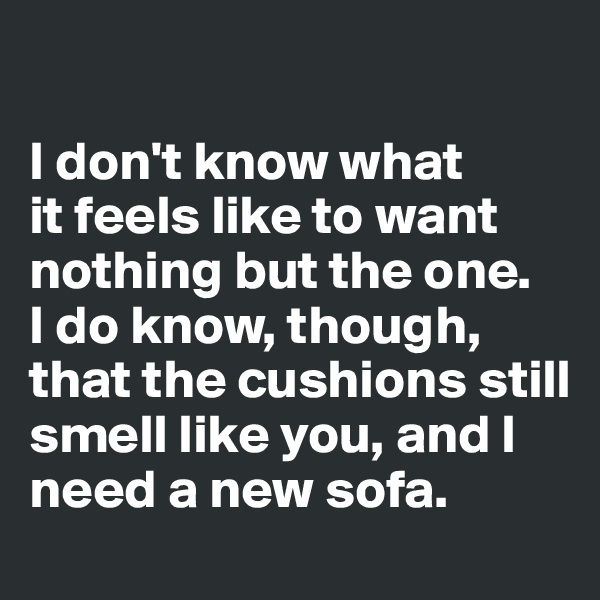 

I don't know what 
it feels like to want nothing but the one. 
I do know, though, that the cushions still smell like you, and I need a new sofa. 