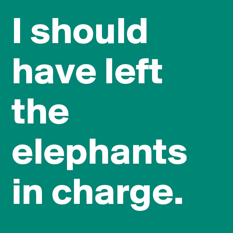 I should have left the elephants in charge.