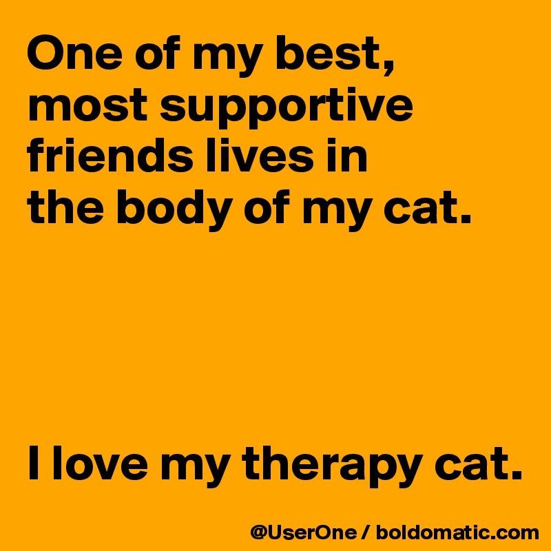 One of my best, most supportive friends lives in
the body of my cat.




I love my therapy cat.