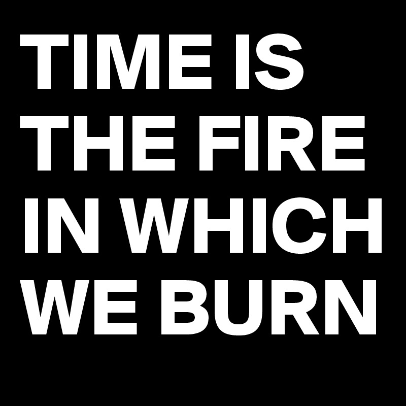 TIME IS THE FIRE IN WHICH WE BURN
