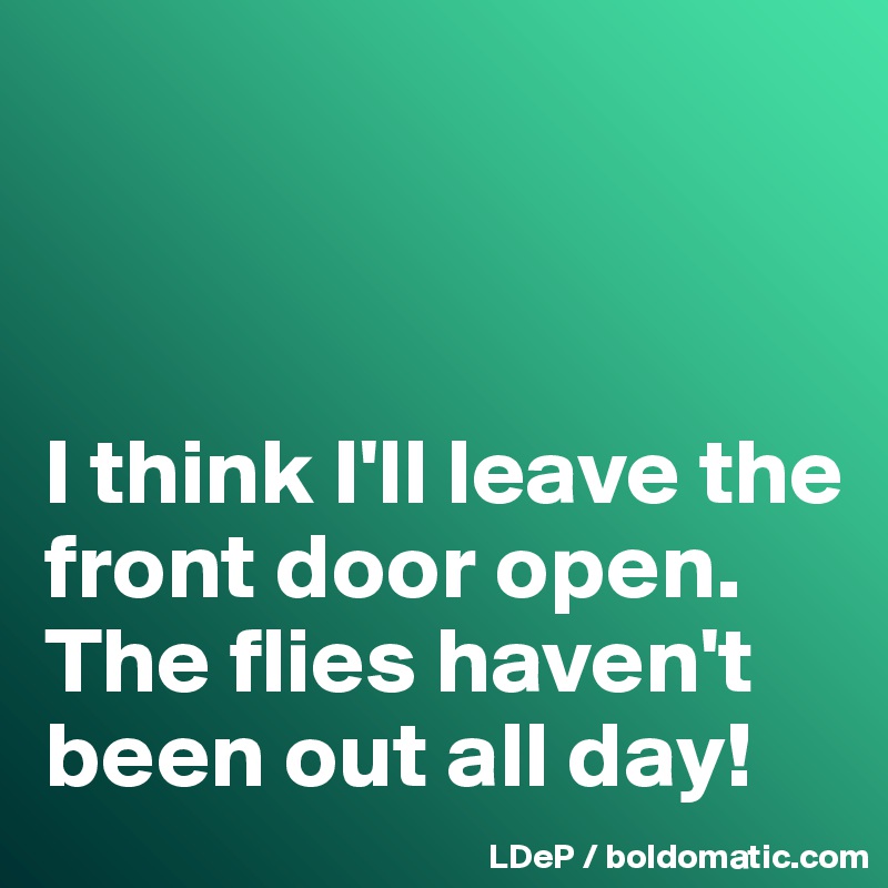 



I think I'll leave the front door open. 
The flies haven't been out all day!