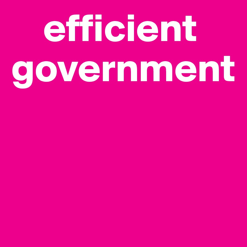     efficient government


