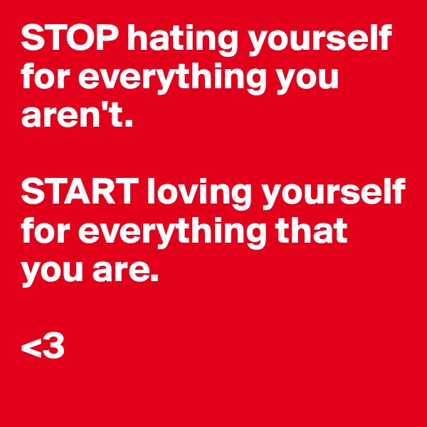 STOP hating yourself for everything you aren't.

START loving yourself for everything that you are. 

<3