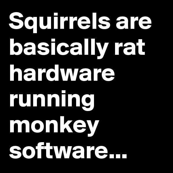 Squirrels are basically rat hardware running monkey software...