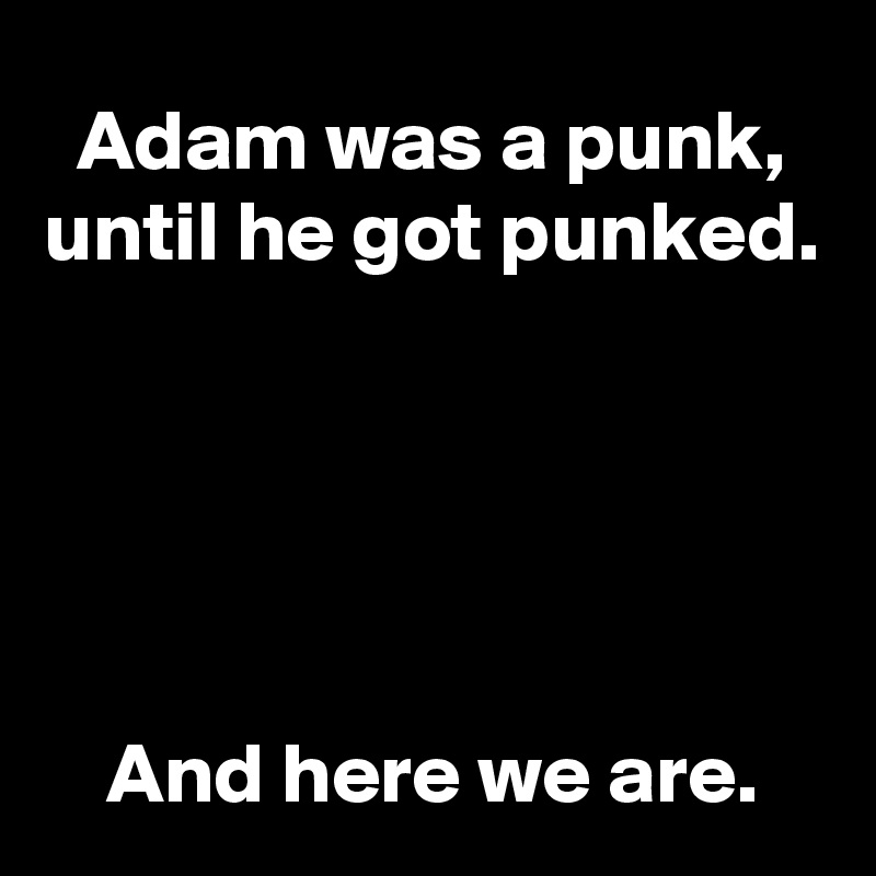 Adam was a punk, until he got punked.





And here we are.