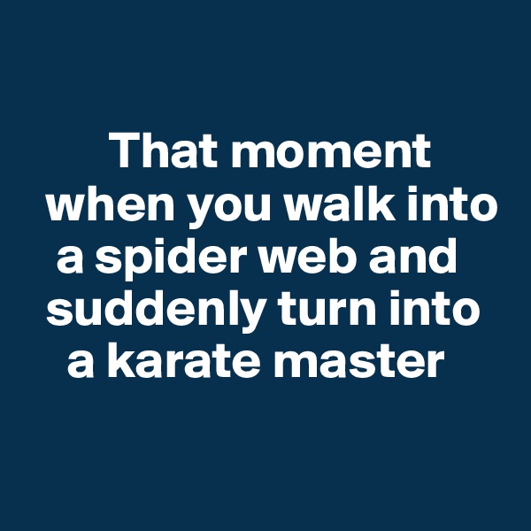 

        That moment 
  when you walk into    
   a spider web and   
  suddenly turn into
    a karate master

