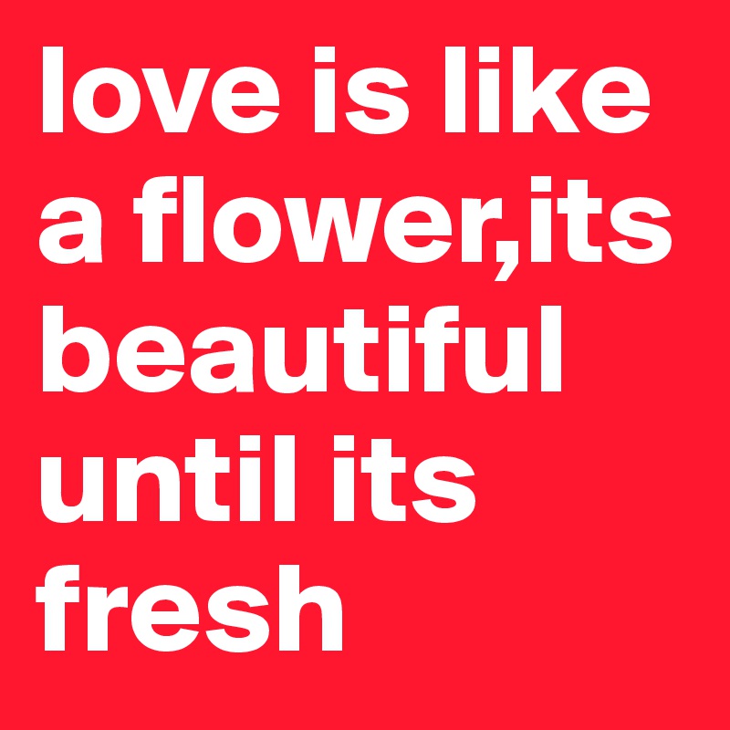 love is like a flower,its beautiful until its fresh 