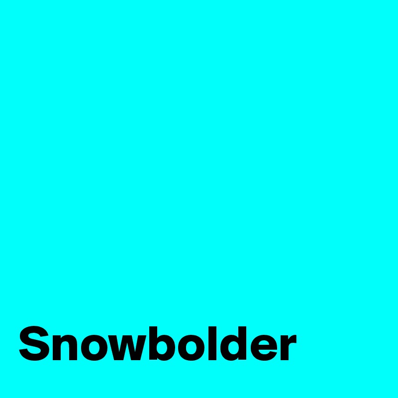                                        
                       




Snowbolder