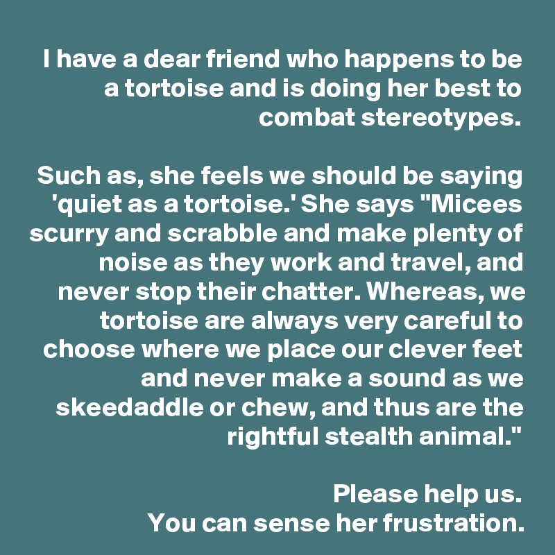I have a dear friend who happens to be a tortoise and is doing her best to combat stereotypes.

Such as, she feels we should be saying 'quiet as a tortoise.' She says "Micees scurry and scrabble and make plenty of noise as they work and travel, and never stop their chatter. Whereas, we tortoise are always very careful to choose where we place our clever feet and never make a sound as we skeedaddle or chew, and thus are the rightful stealth animal."

Please help us.
You can sense her frustration.