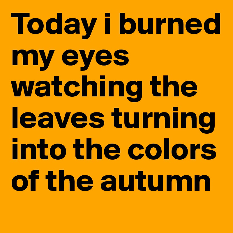 Today i burned my eyes watching the leaves turning into the colors of the autumn