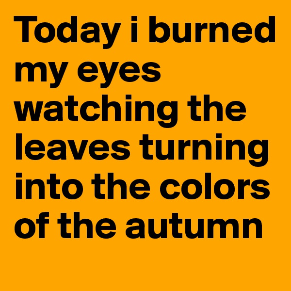 Today i burned my eyes watching the leaves turning into the colors of the autumn