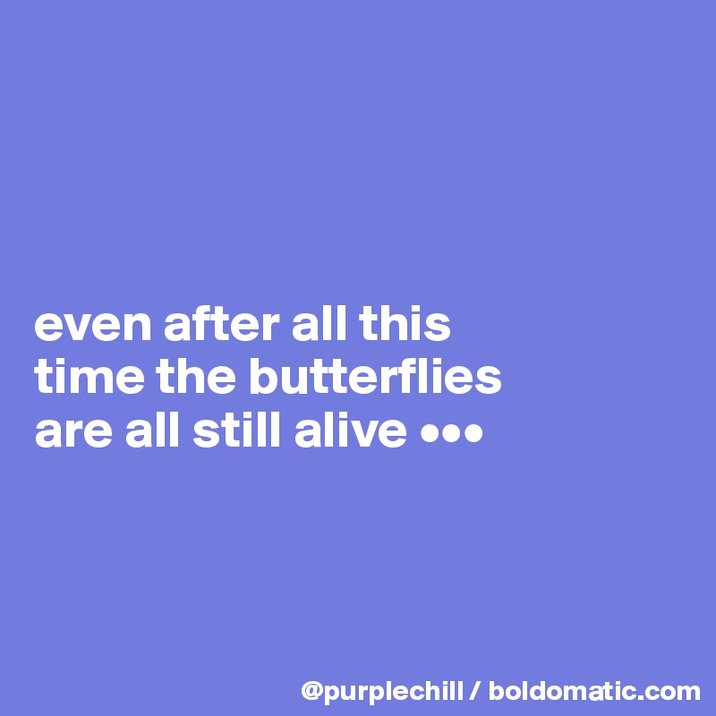 




even after all this 
time the butterflies 
are all still alive •••



