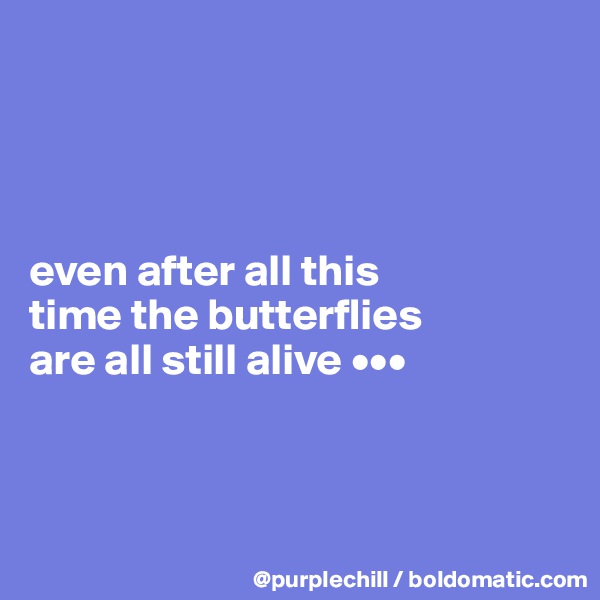 




even after all this 
time the butterflies 
are all still alive •••



