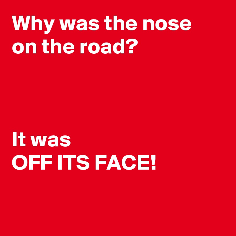 Why was the nose on the road?



It was 
OFF ITS FACE!


