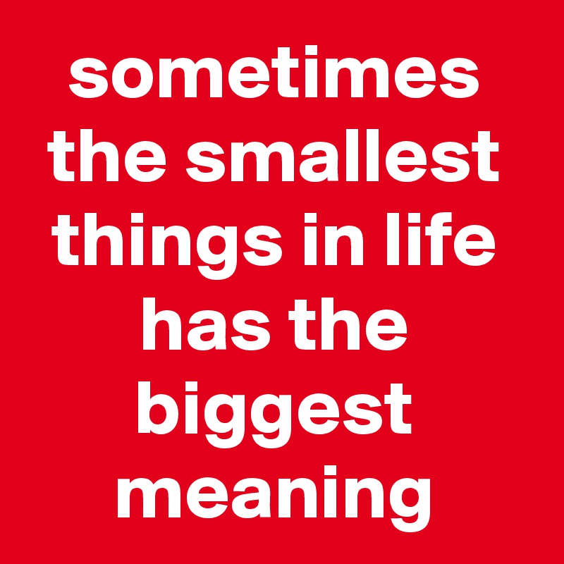 sometimes the smallest things in life has the biggest meaning