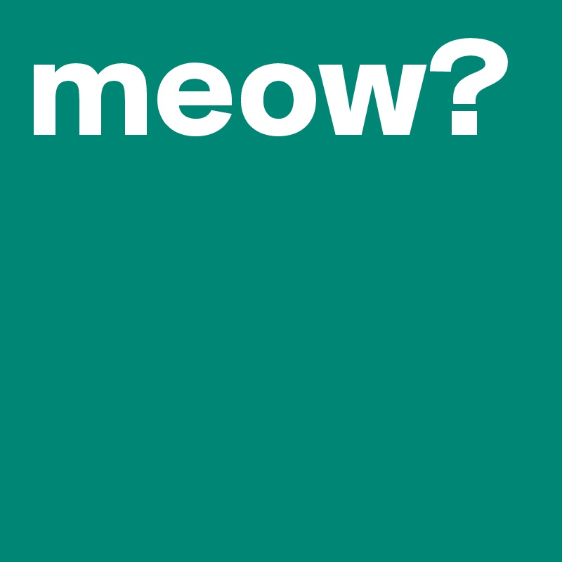 meow?