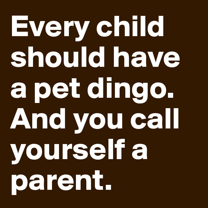 Every child should have a pet dingo. And you call yourself a parent. 