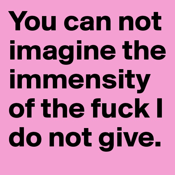 You can not imagine the immensity of the fuck I do not give. 