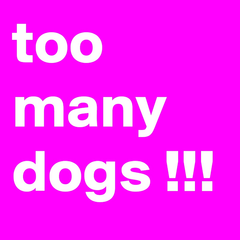 too many dogs !!!