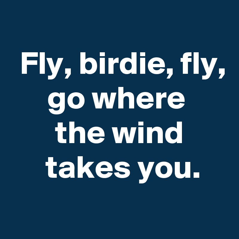 
 Fly, birdie, fly,
 go where 
 the wind
  takes you.
