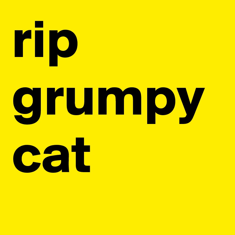 rip grumpy cat