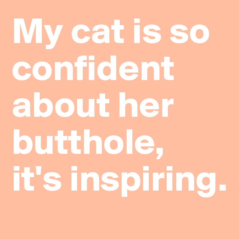 My cat is so confident about her butthole, 
it's inspiring. 