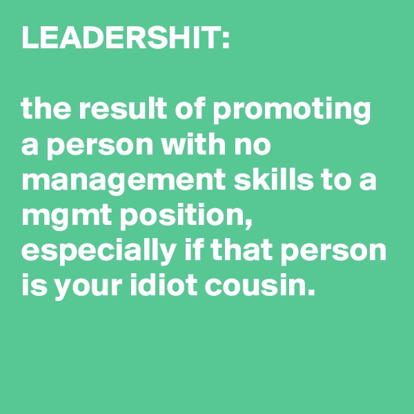 LEADERSHIT:

the result of promoting a person with no management skills to a mgmt position, especially if that person is your idiot cousin.

