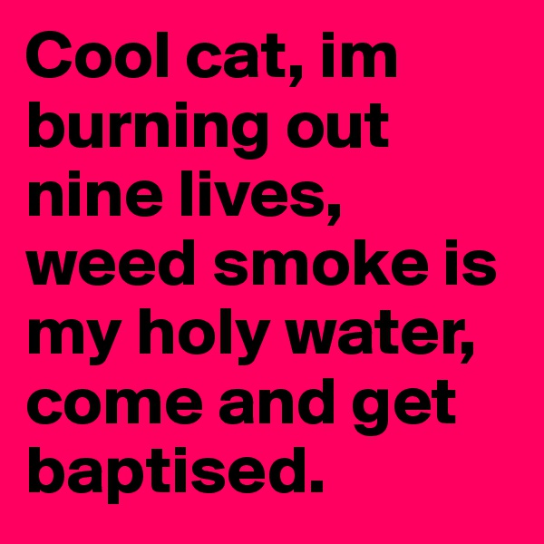 Cool cat, im burning out nine lives, weed smoke is my holy water, come and get baptised. 