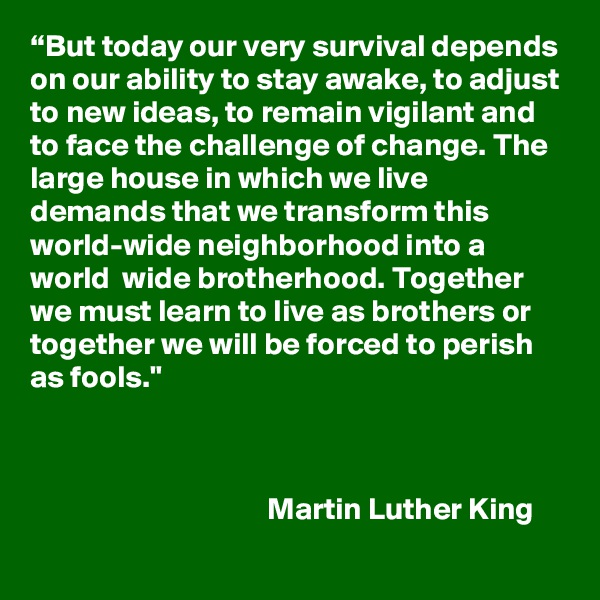 “But today our very survival depends on our ability to stay awake, to adjust to new ideas, to remain vigilant and to face the challenge of change. The large house in which we live demands that we transform this world-wide neighborhood into a world  wide brotherhood. Together we must learn to live as brothers or together we will be forced to perish as fools."



                                      Martin Luther King