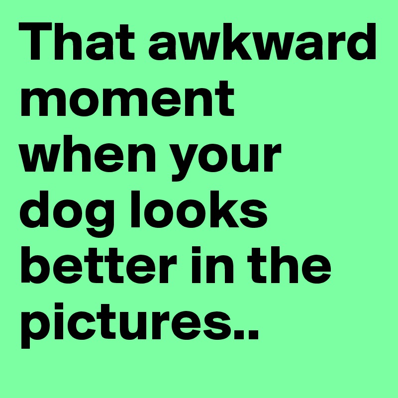 That awkward moment when your dog looks better in the pictures..