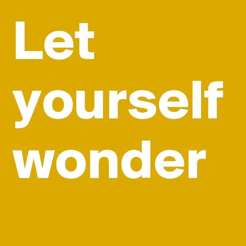 Let yourself wonder