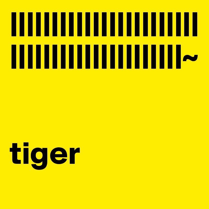 ||||||||||||||||||||||||||||||||||||||||||||~

                           tiger