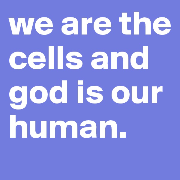 we are the cells and god is our human.