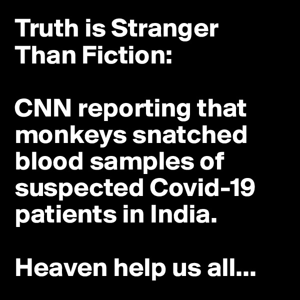 Truth is Stranger Than Fiction: 

CNN reporting that monkeys snatched blood samples of suspected Covid-19 patients in India.

Heaven help us all...