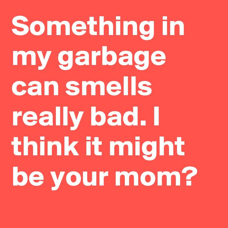 Something in my garbage can smells really bad. I think it might be your mom?