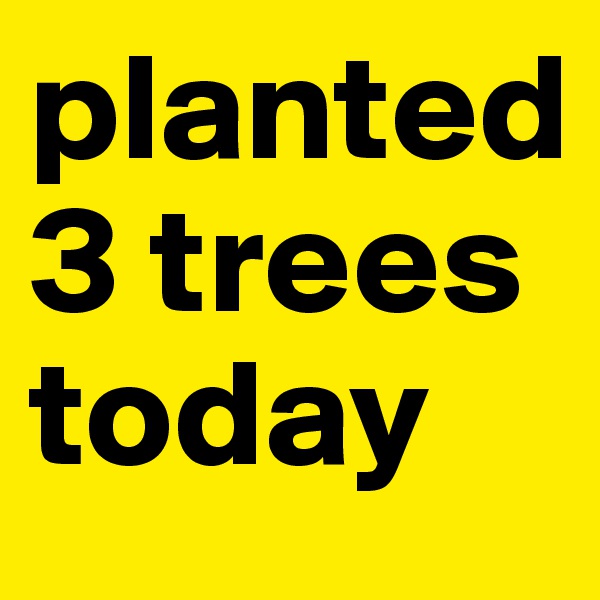 planted 3 trees today
