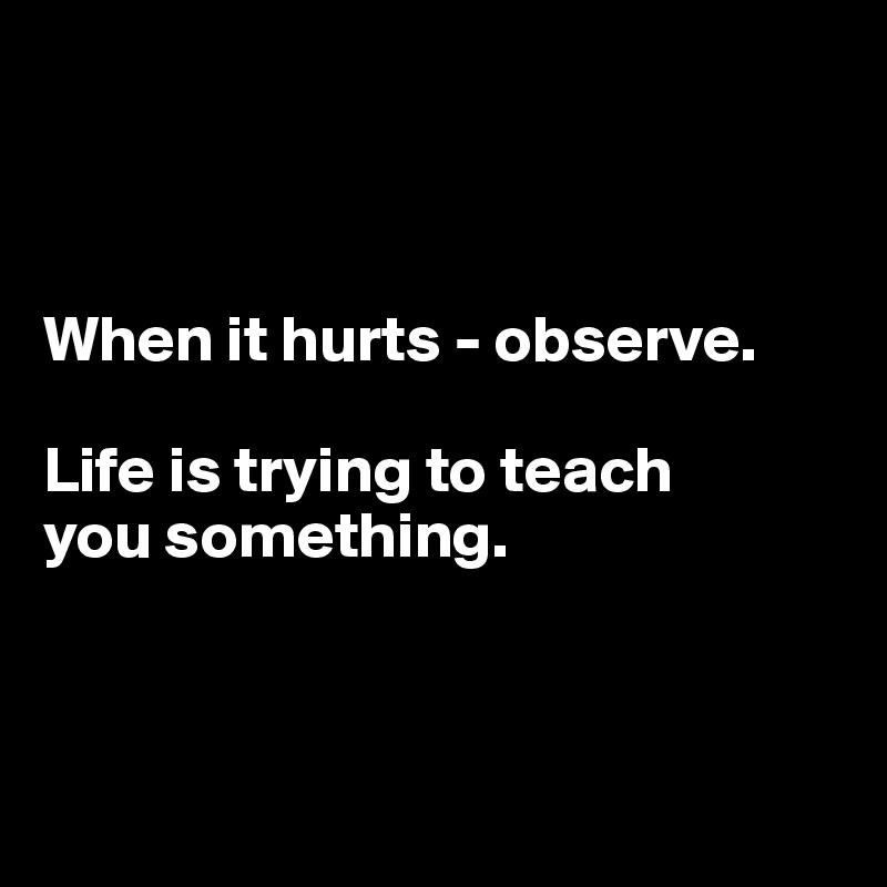 



When it hurts - observe.

Life is trying to teach 
you something.



