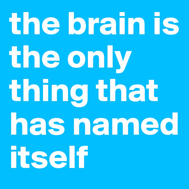 the brain is the only thing that has named itself