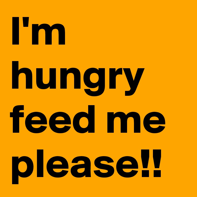 I hungry in the afternoon. Надпись i'm hungry. Im hungry текст. Feed me please. I'M hungry.