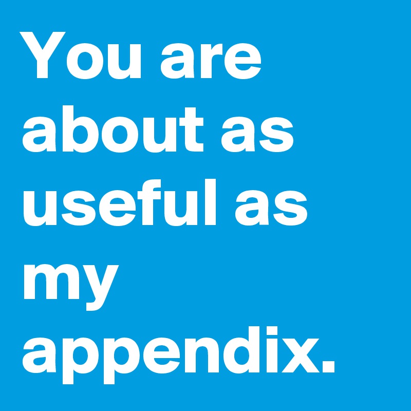 You are about as useful as my appendix. 