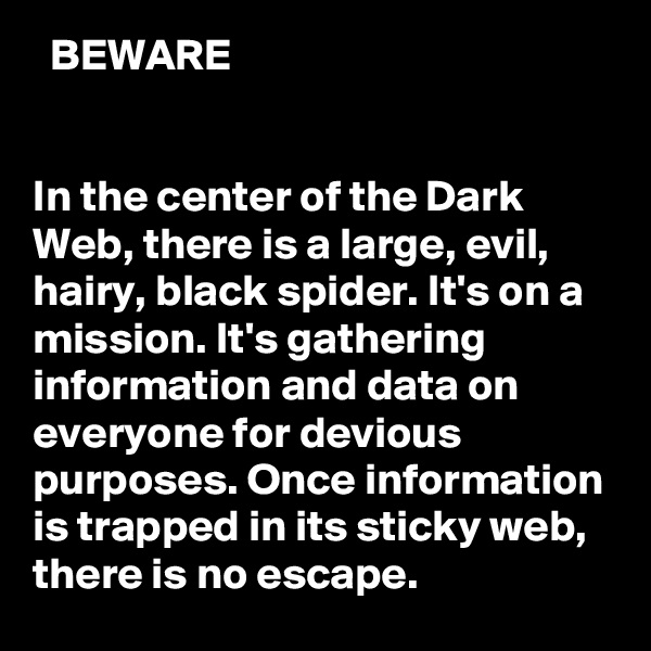  BEWARE


In the center of the Dark Web, there is a large, evil, hairy, black spider. It's on a mission. It's gathering information and data on everyone for devious purposes. Once information is trapped in its sticky web, there is no escape. 