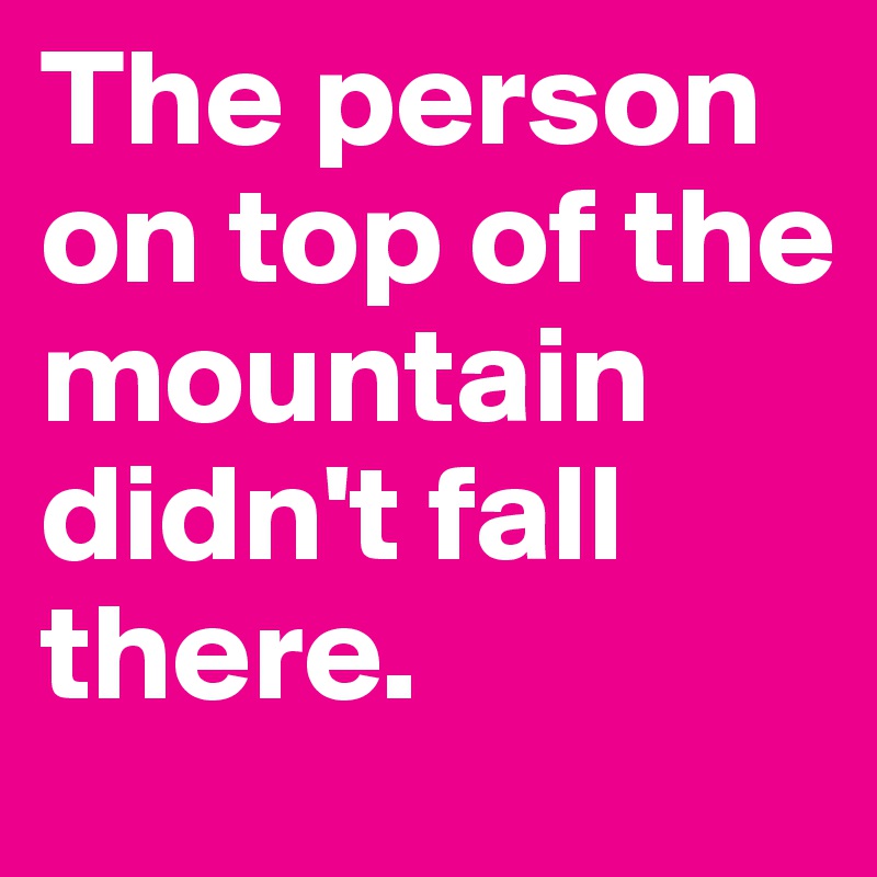 The person on top of the mountain didn't fall there.