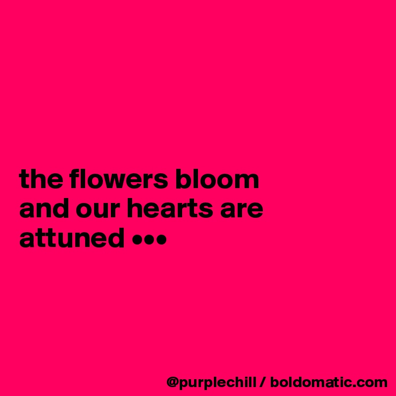 




the flowers bloom
and our hearts are 
attuned •••



