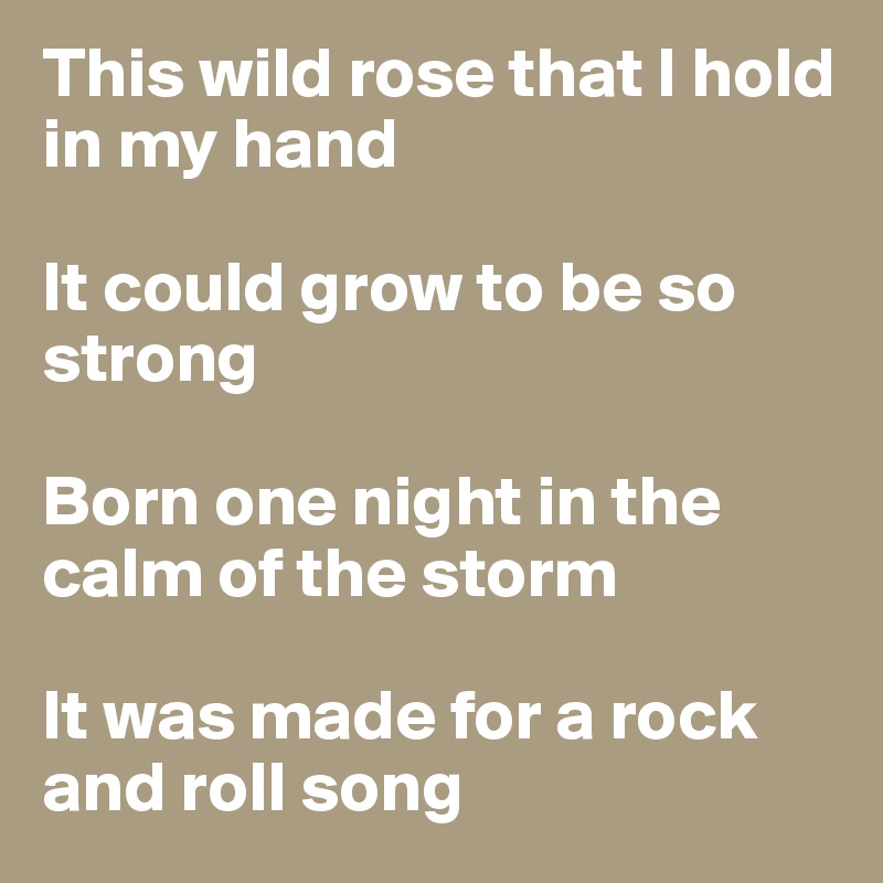 This wild rose that I hold in my hand

It could grow to be so strong

Born one night in the calm of the storm

It was made for a rock and roll song