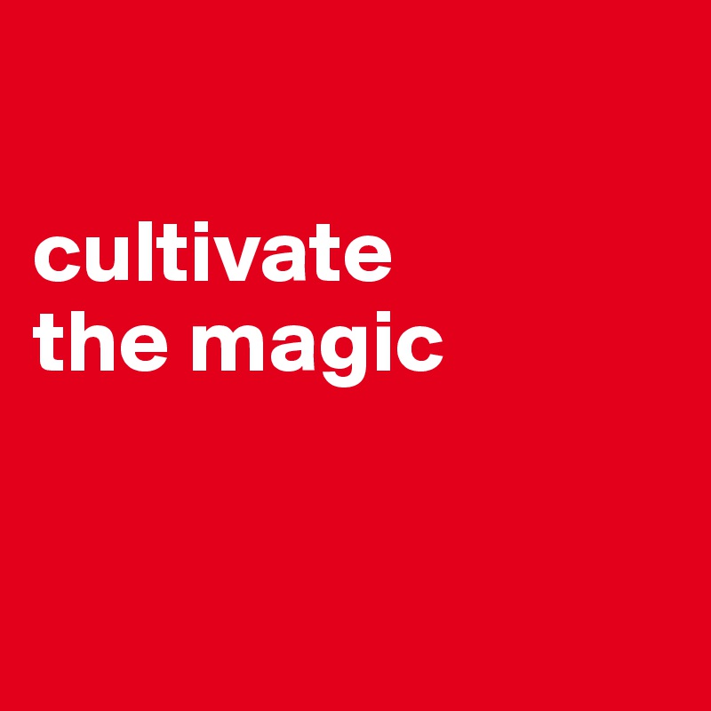 

cultivate
the magic



