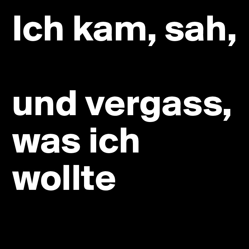 Ich kam, sah, 

und vergass, was ich wollte